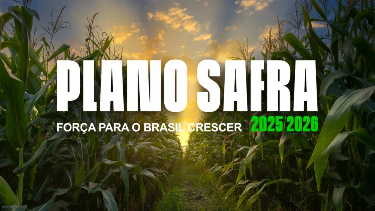 Plano Safra 2025/26 tem maiores juros: veja comparativo por linha de crédito