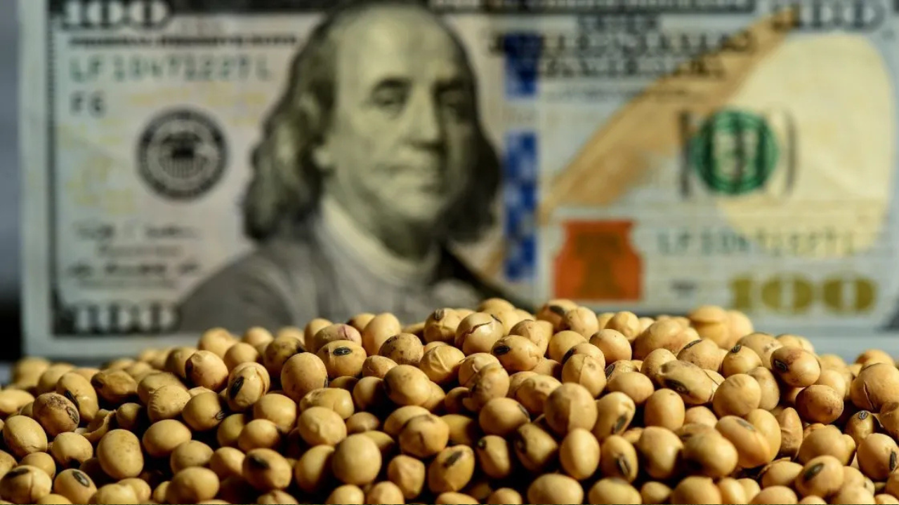 Câmbio e Commodities: Como o dólar pode impactar sua margem na próxima safra