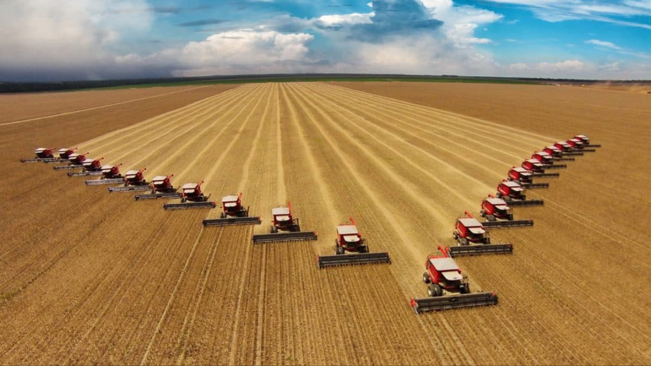 Números da Safra 2024/25